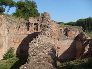 Les ruines du Cirque Maximus.