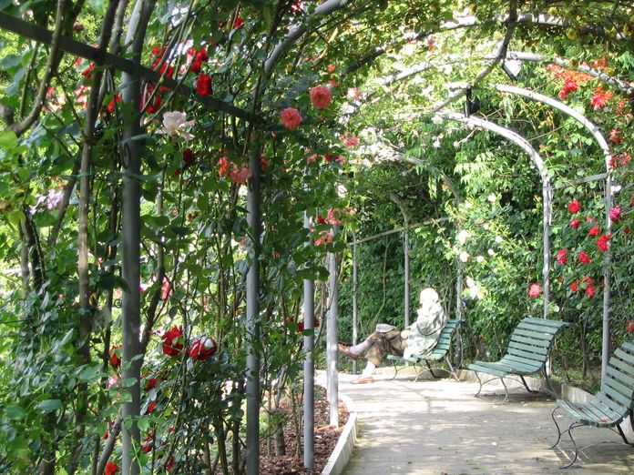 Les roses de la roseraie municipale. Les roses de la roseraie municipale.