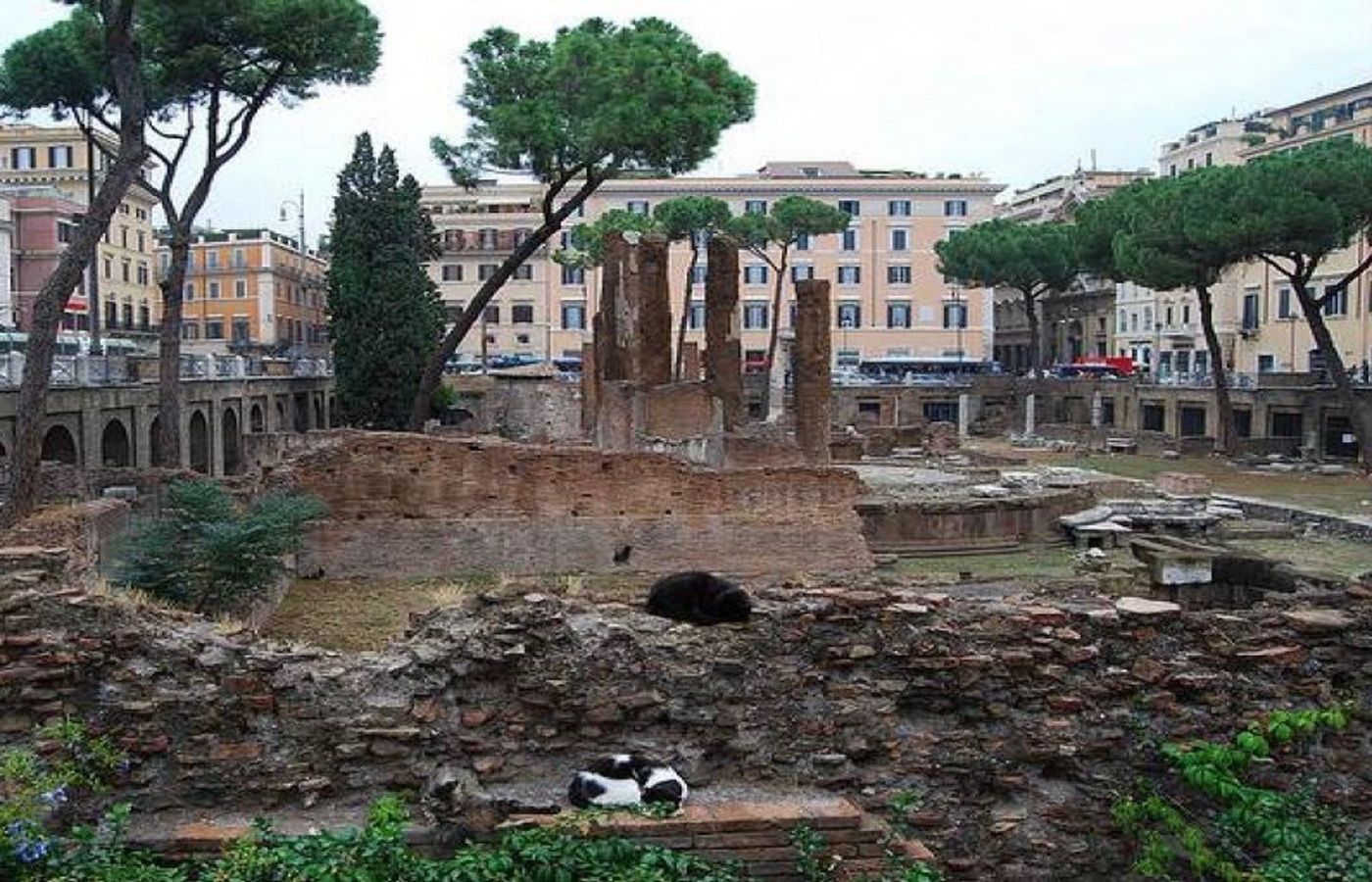Comment Rome est-elle devenue la ville des chats ?