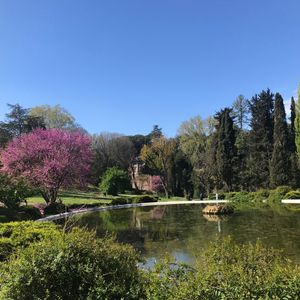 Que faire en mai 2019 à Rome ?